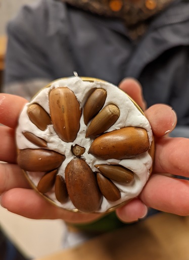 ファイル 100-2.jpg