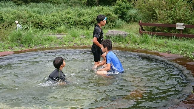 ファイル 26-1.jpg