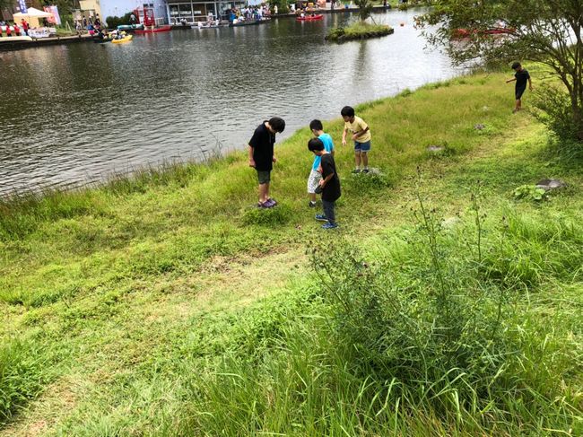 ファイル 26-2.jpg