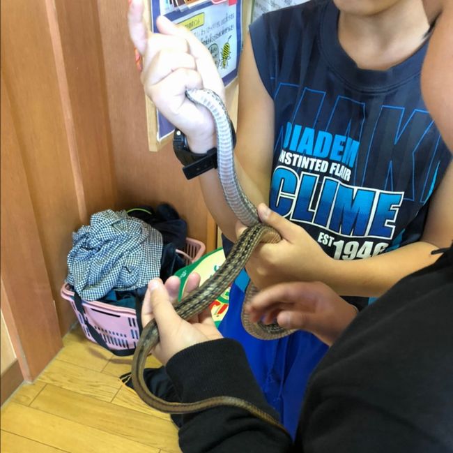 ファイル 35-1.jpg