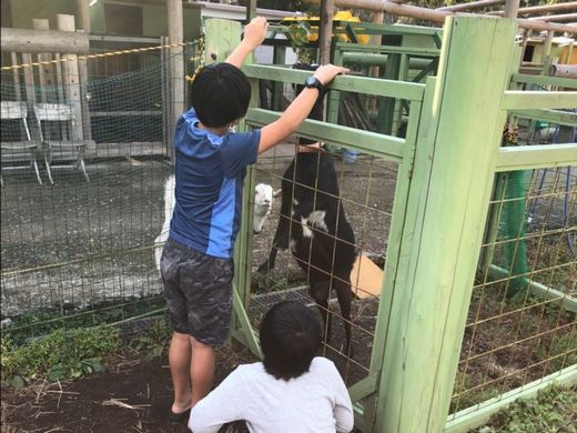 ファイル 37-5.jpg