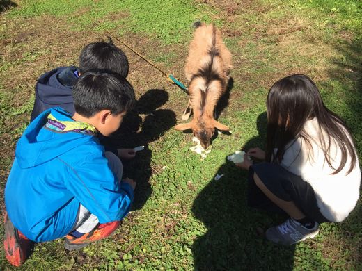 ファイル 38-2.jpg