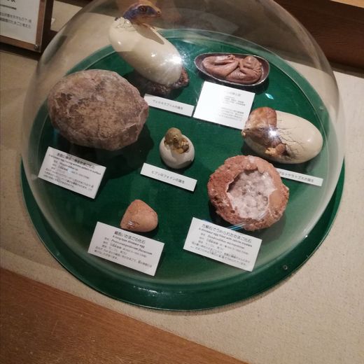 ファイル 39-1.jpg