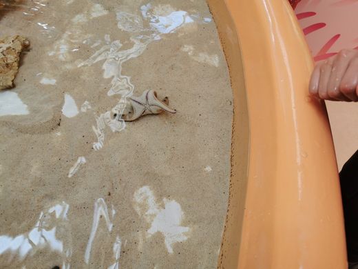 ファイル 39-4.jpg