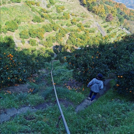 ファイル 41-2.jpg