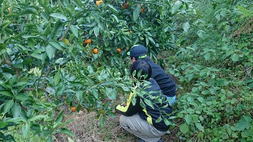 ファイル 41-3.jpg