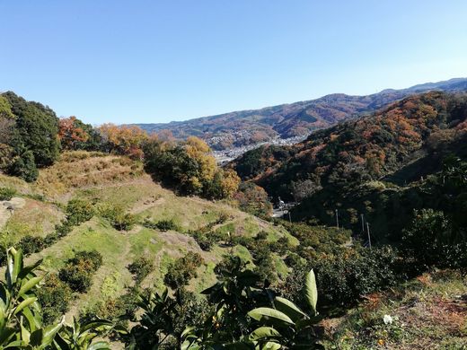 ファイル 41-4.jpg