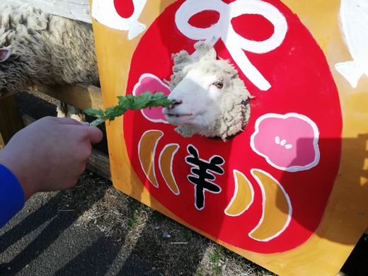 ファイル 43-1.jpg