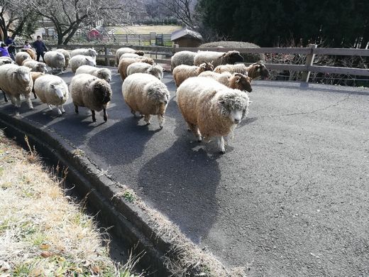 ファイル 43-2.jpg