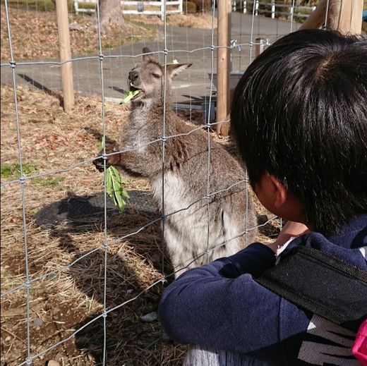 ファイル 43-3.jpg