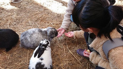 ファイル 43-4.jpg