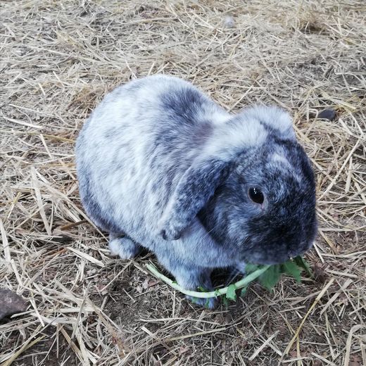 ファイル 43-5.jpg