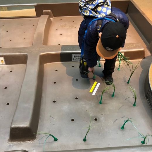 ファイル 47-4.jpg