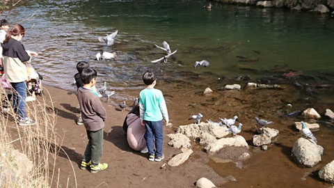 ファイル 53-2.jpg