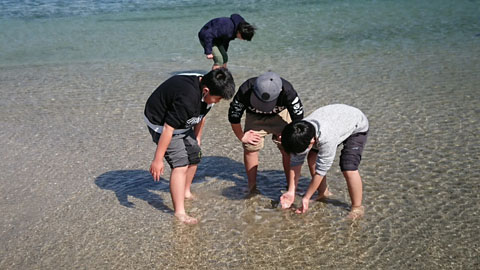 ファイル 54-1.jpg