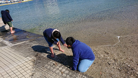 ファイル 54-2.jpg