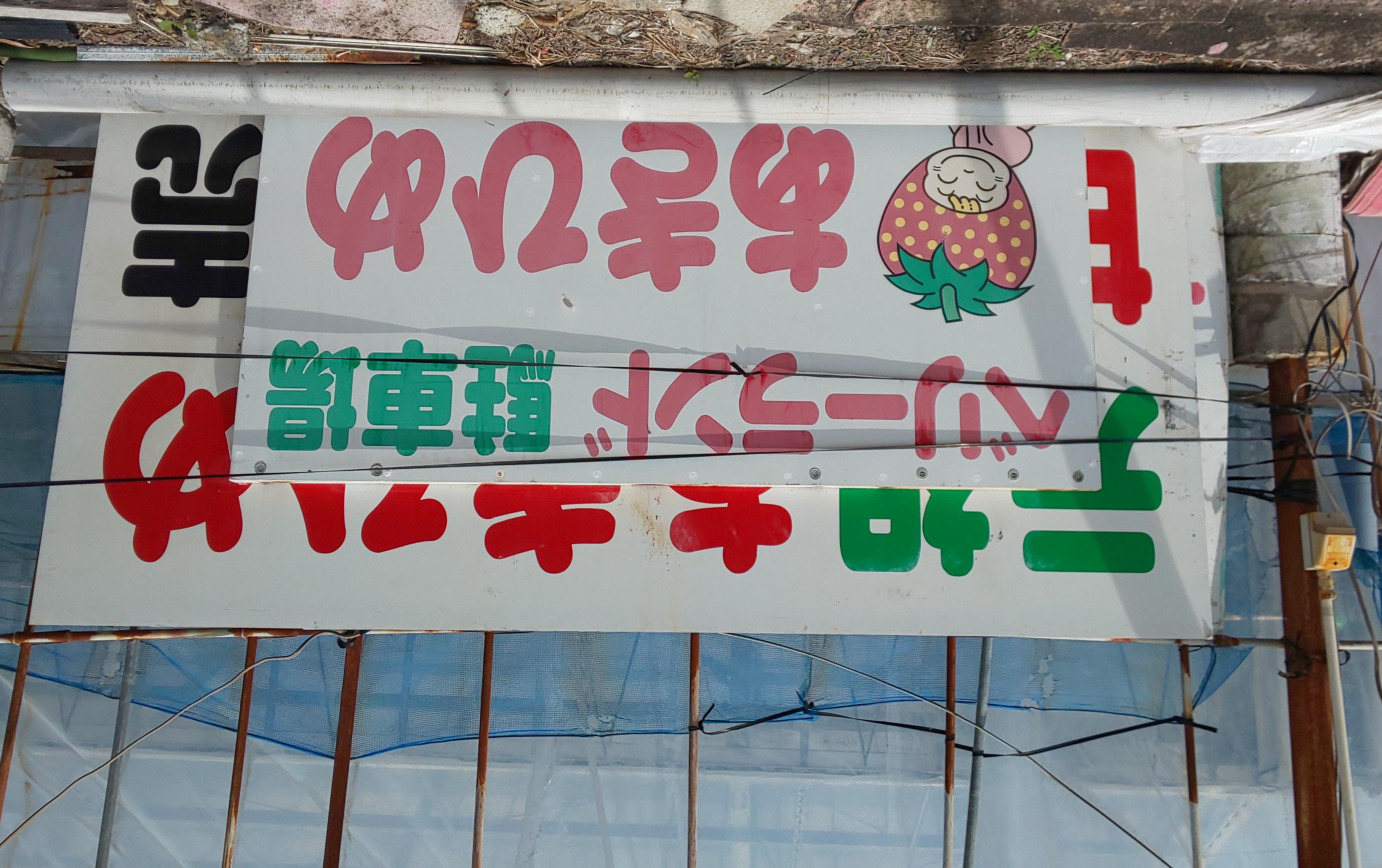 ファイル 63-1.jpg