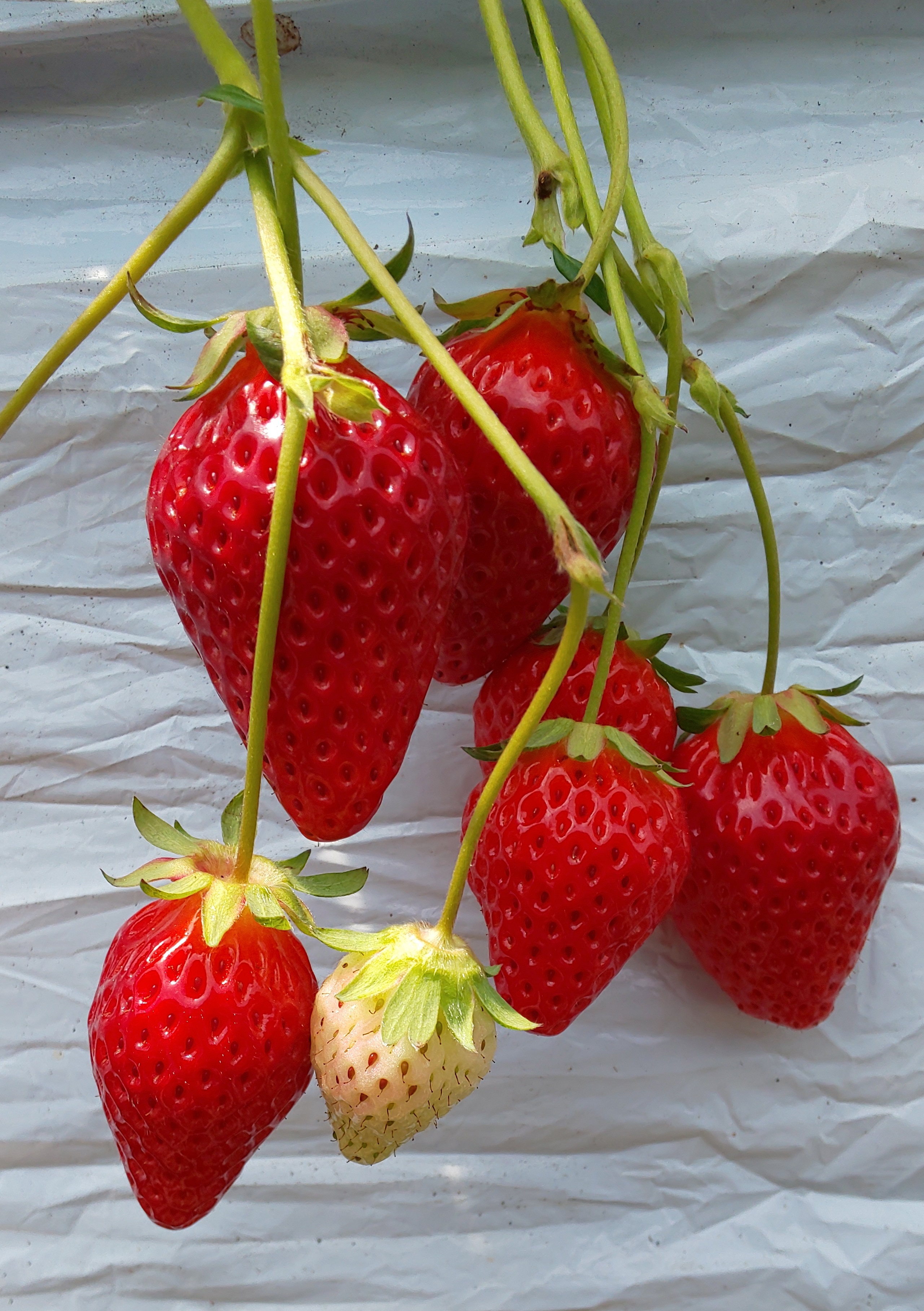 ファイル 63-3.jpg