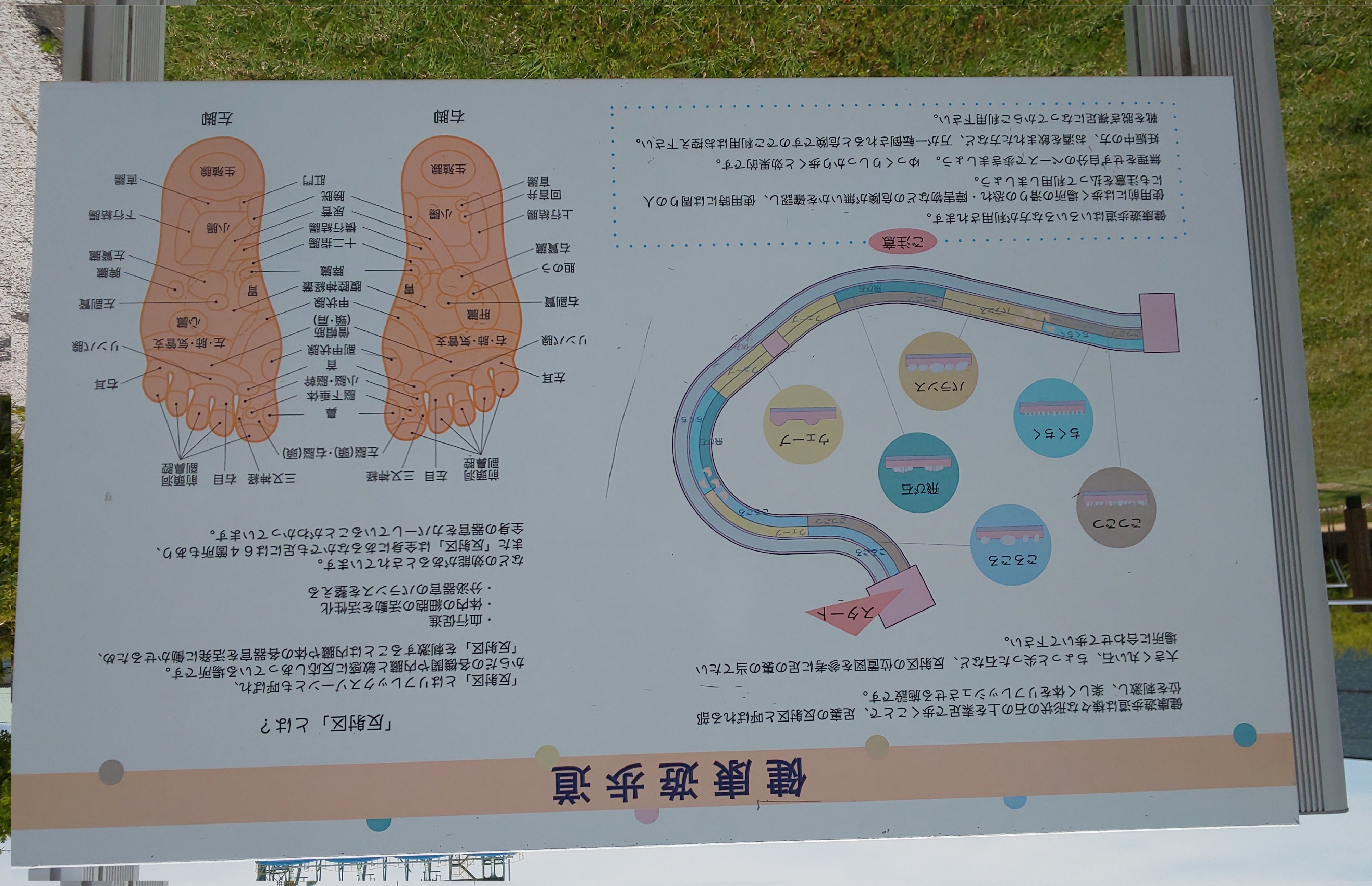 ファイル 63-4.jpg