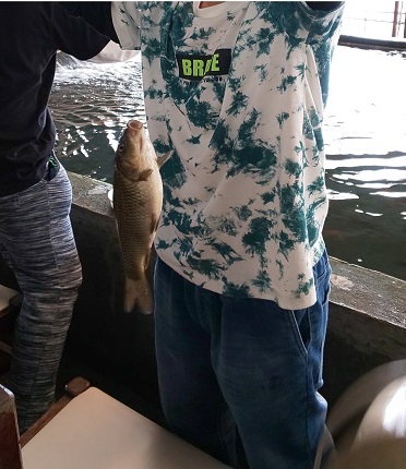 ファイル 64-3.jpg