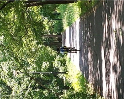 ファイル 65-1.jpg