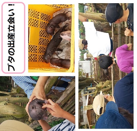 ファイル 75-1.jpg