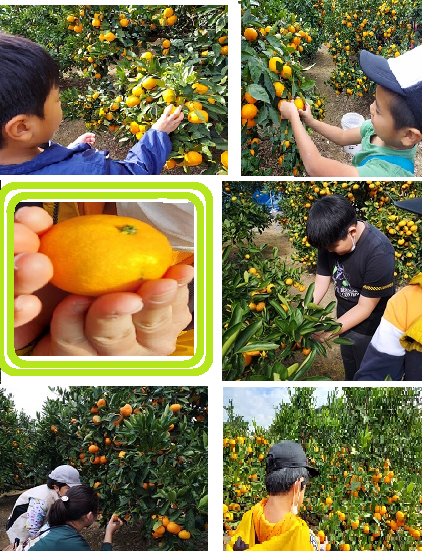 ファイル 82-1.png