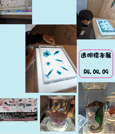 ファイル 95-1.png