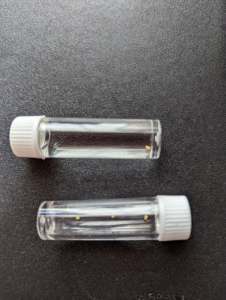 ファイル 99-1.jpg